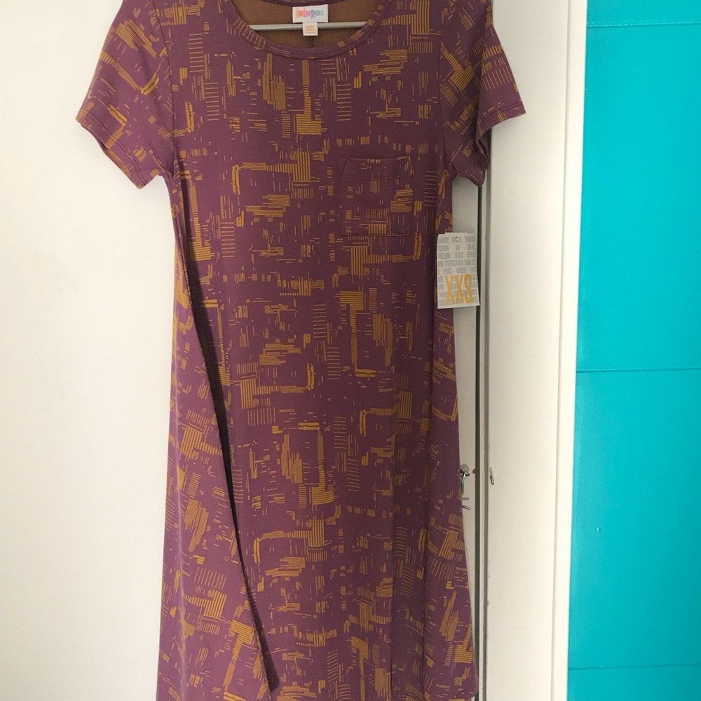 Lularoe xxs Carly